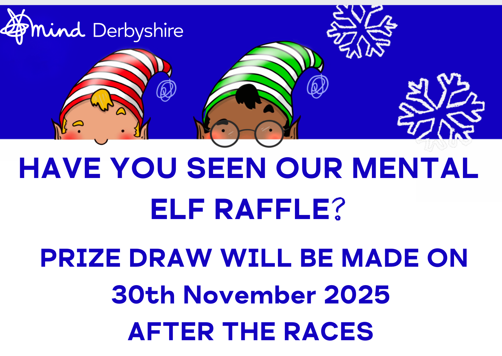Mental Elf 2025 RAFFLE PRIZE DRAW! - Derbyshire Mind